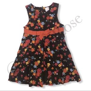 Gymboree Woodland Friends Corduroy Dress Sz 3